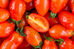 饱满诱人的小番茄