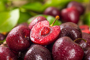 新鲜诱人的紫樱桃特写