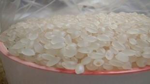 珍珠米