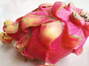 新鲜火龙果特写