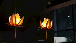 两盏莲花造型发光灯具