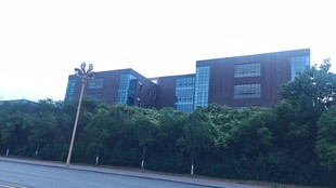 校园建筑旁的葱郁绿植