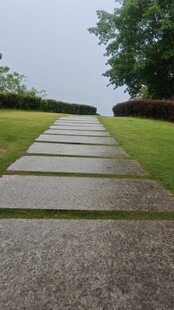 雨后静谧的石板路