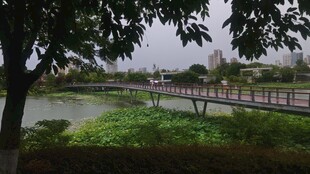 雨中湖畔木桥风景