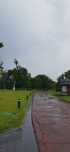 雨后公园小径与葱郁草地