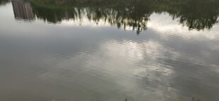 平静湖面倒映岸边景致