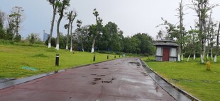 公园中的宽阔柏油道路