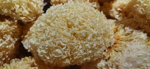 香脆银耳