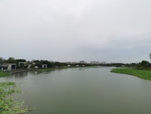 宁静河畔风光