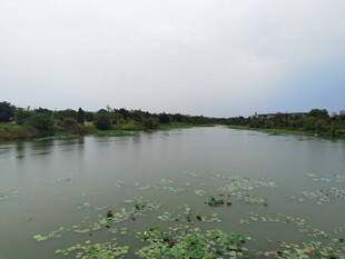 宁静河畔风光