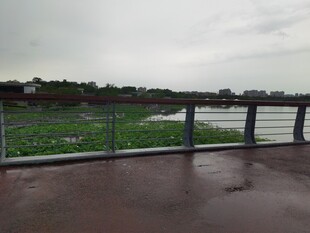 雨中河畔观景台