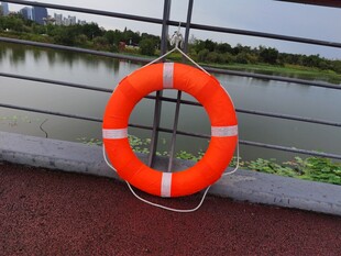 岸边的橙色救生圈