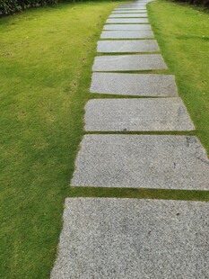 石板小径穿绿草地