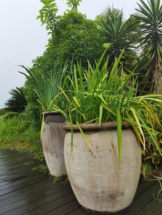 户外绿植大花盆景观