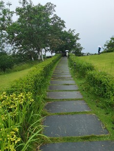 绿野中的石板小径