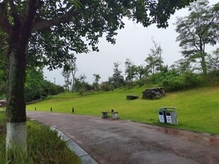 雨后清新的公园小路景色