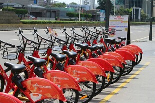 整齐排列的共享单车