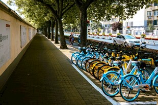 街道旁整齐停放的共享单车