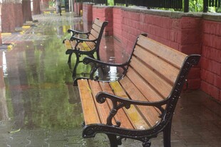 雨中长椅