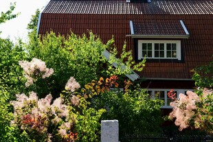 花园环绕的温馨住宅