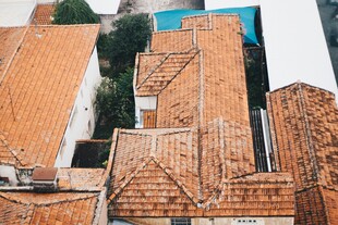 红砖屋顶建筑景观