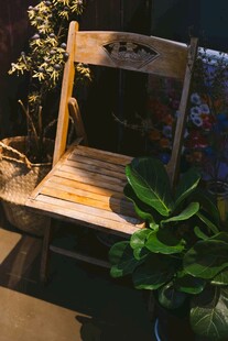 木质座椅旁的绿植景致