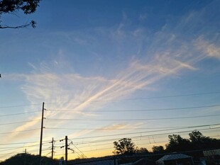 黄昏下的电线与绚丽天空