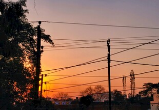 夕阳下的电线与树木景观