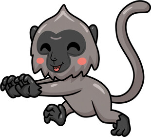 可爱小猴俏皮奔跑