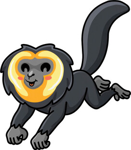 跳跃的黑毛猴子