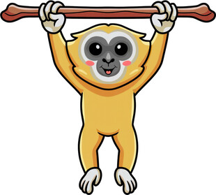 挂在横杆上的可爱小猴子