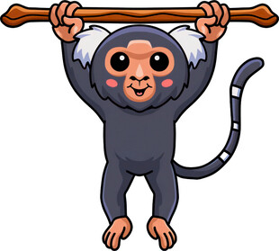 倒挂小猴