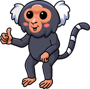 可爱小猴竖大拇指