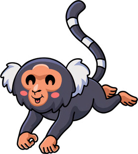 跳跃的可爱小猴