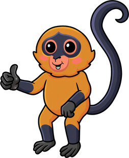 可爱小猴竖大拇指