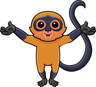 可爱小猴张开双臂