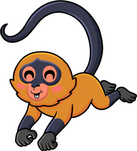 跳跃的可爱小猴子