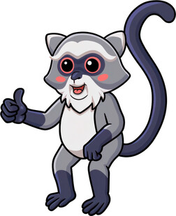 可爱狐猴竖大拇指