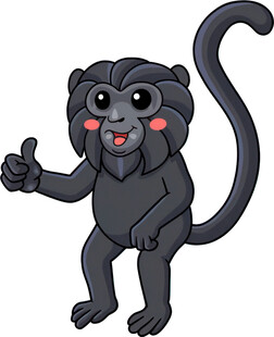 可爱黑猴子竖大拇指