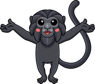 可爱黑猴子张开双臂