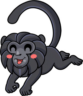 可爱黑猴子俏皮姿态
