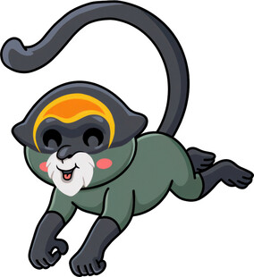 跳跃的可爱小猴