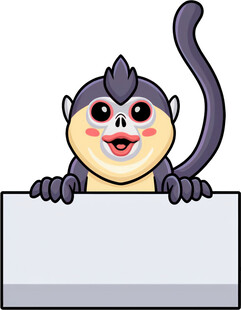 猴子举牌