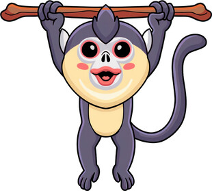 可爱小猴挂在横杆上