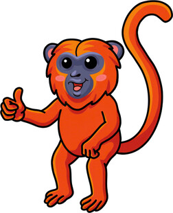 可爱橙色猴子竖大拇指
