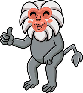 微笑猴子竖大拇指