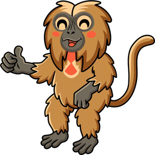 可爱猴子竖大拇指