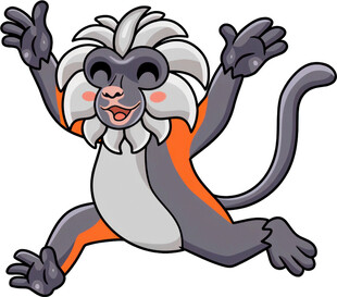 跳跃的可爱猴子