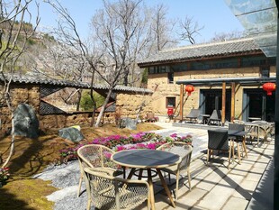 庭院休闲桌椅布置场景