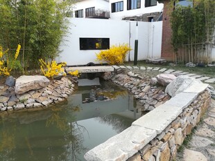 庭院中式水景景观一隅